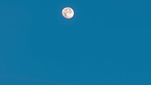 Schilderachtig Uitzicht Volle Maan Zee Tijdens Zonsopgang — Stockvideo