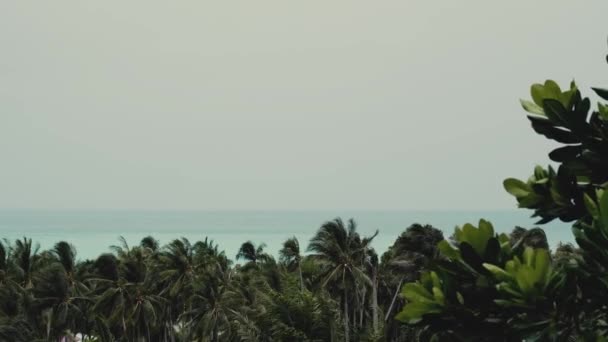 Панорама Балкона Море Переднем Плане Пальмовые Листья Деревья Солнечный Ветреный — стоковое видео