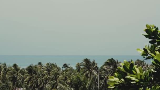 Panorama Desde Balcón Mar Primer Plano Hojas Palmeras Árboles Soleado — Vídeos de Stock