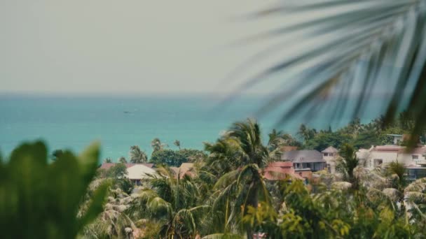 Balkondan Deniz Manzarası Güzel Planda Turuncu Tropik Çiçekler Palmiye Yaprakları — Stok video