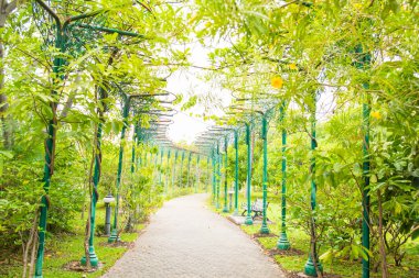 Tayland güzel geçit