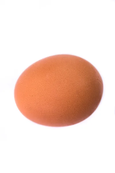 Φρέσκο κοτόπουλο αυγό — Φωτογραφία Αρχείου