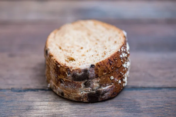 Fungo su pane di scadenza — Foto Stock