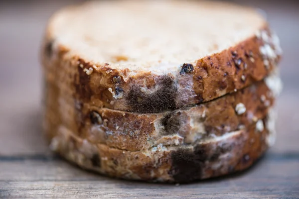 Fungo su pane di scadenza — Foto Stock