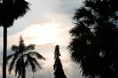 Taş yakın Japonya'da