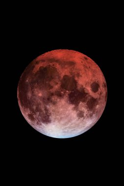 Kanlı Ay tutulması, yakın çekim görüntüsü, fotokopi uzayı ile izole edilmiş. Nadir bir ay olayının astronomik ve astrolojik bir kavramı. Bu görüntünün elementleri NASA tarafından desteklenmektedir.