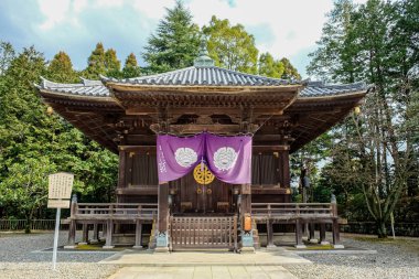 Naritasan Shinshoji Tapınağı ve Pagoda