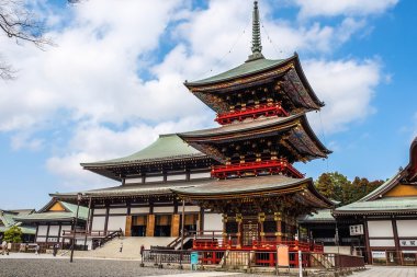 Naritasan Shinshoji Tapınağı ve Pagoda