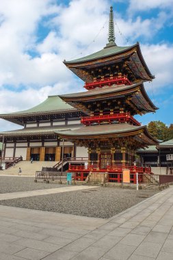 Naritasan Shinshoji Tapınağı ve Pagoda