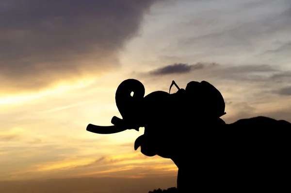 Eléphant debout dans une rizière avec le mahout — Photo