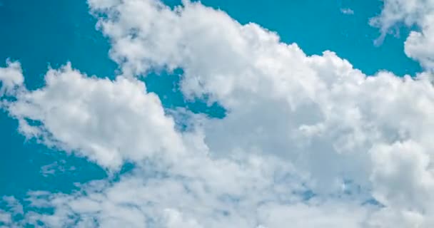 Mavi Gökyüzü Yaz Mevsiminde Kabarık Beyaz Bulutlar Güzel Bulutlu Açık — Stok video