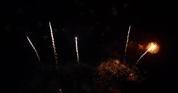 Feuerwerk Feiern Jubiläum Frohes Neues Jahr 2022 Juli Feiertag Buntes — Stockvideo