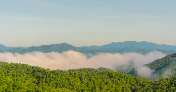 Timelapse Montaña Paisaje Niebla Viento Cordillera Verde Paisaje Asiático Granja — Vídeos de Stock