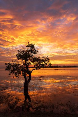 Manzarası dramatik güzel gün batımı gökyüzü. Doğal Günbatımı Karanlık Diyar 'ın gölgesinde. Kırsal kesimde gün batımında, şafakta, gün doğumunda canlı, dramatik bir gökyüzü. Gün batımında manzara Renkli Gökyüzü