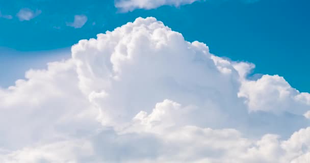 時間の経過美しい雲と夏のシーズン明るい澄んだスカイラインに青い空ふわふわの白い雲 タイムラプスコピースペースと昼光のパノラマ青い空の雲天 晴れた日の雲景 — ストック動画