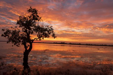 Manzarası dramatik güzel gün batımı gökyüzü. Doğal Günbatımı Karanlık Diyar 'ın gölgesinde. Kırsal kesimde gün batımında, şafakta, gün doğumunda canlı, dramatik bir gökyüzü. Gün batımında manzara Renkli Gökyüzü