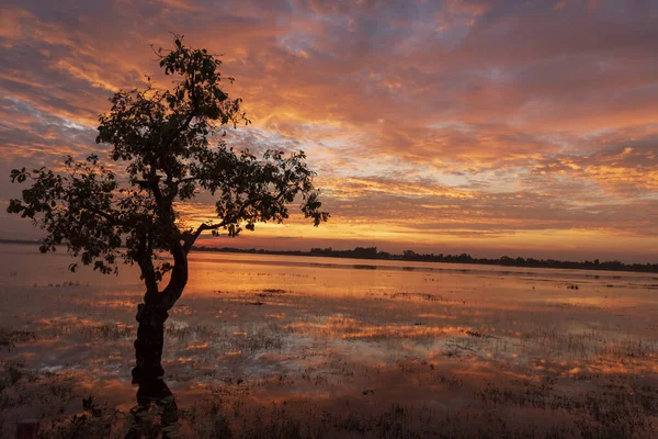 Manzarası dramatik güzel gün batımı gökyüzü. Doğal Günbatımı Karanlık Diyar 'ın gölgesinde. Kırsal kesimde gün batımında, şafakta, gün doğumunda canlı, dramatik bir gökyüzü. Gün batımında manzara Renkli Gökyüzü