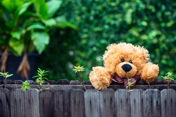 Ours Peluche Souriant Jouet Meilleur Ami Pour Les Enfants Adorable — Photo