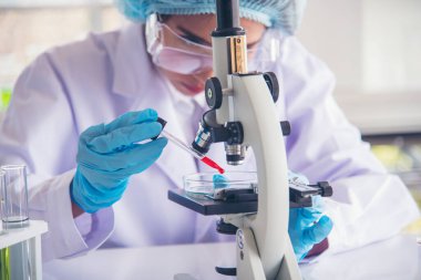 Kapalı alan kadın bilim adamı laboratuvarda düşürücü kullanıyor. Bilimsel mikroskop tıbbi testi, biyoloji kimyası araştırması. Kadın teknisyen laboratuarı kan bilimsel ilaç araştırmalarını inceliyor..