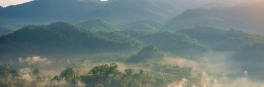 Banner Güzel Dağ manzarası sisli dağ yeşili sabah güneşi. Güneşin doğuşunda muhteşem manzara dağı yeşil tropikal orman ağacı. Fotokopi alanına sahip Banner Ormanı güneş ışığı manzarası