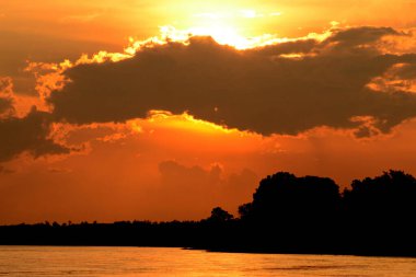Günbatımında tropikal inanılmaz dramatik altın gökyüzü manzaralı nehir kıyısı okyanusu üzerinde. Siluet sükunet mevsimi vahşi doğa huzur manzarası. Sakin göl kırsalında güneş doğarken deniz kıyısında yansıma