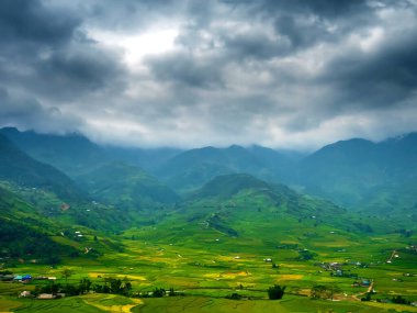 Pirinç tarlası yeşil tarım yağmuru mevsimi kara bulutlar inanılmaz manzara. Sürdürülebilir Ekosistem pirinç tarlası Vietnam yeşil doğa tarlası. Altın yeşili pirinç terasları Tropikal manzaralar