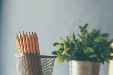 Ahşap masaya kalem keskinliğinde ofis dekorasyonu dikin. Yeşil dekore edilmiş ofis masası. Ahşap ofis masasındaki yeşil bitki vazosu kalem kutusu, çiçek saksısı ev ofisinin dekorasyon masası.