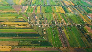 Yeşil çeltik pirinç tarlası arazisi. Yaz mevsiminde, güneşli bir günde, tropikal hava aracı görüntüleri. Tarım pirinç tarlası yeşillik arka planda doğal çeltik tarlaları