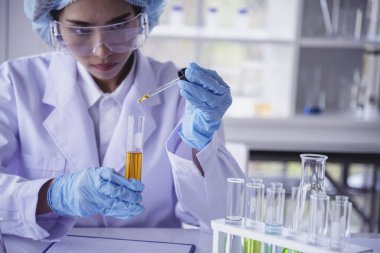Kimyasal test sarı cam tüpü elinde tutan bilim kadını bilim laboratuvarını test ediyor. Laboratuvar teknisyeni cam tüp idrar örneğine altın sıvısı bırakıyor. Tıbbi kimyada çalışan Asyalı kadın bilim adamı