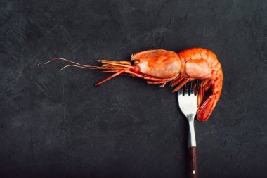 Çatallı kırmızı Arjantin karidesi. Bir parça, yan görünüm, siyah arkaplan.