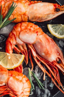 Taze büyük kırmızı karides. Üst Manzara. Siyah arka plan. Kapatın. Makro.