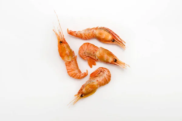 Argentina shrimps isolated on white background.