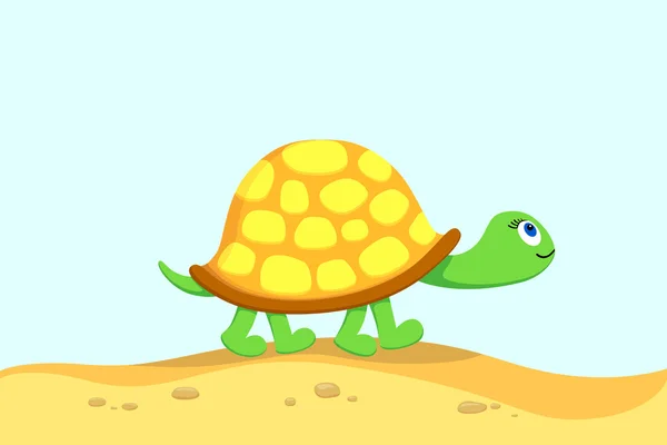 Vector illustratie van schildpad — Stockvector