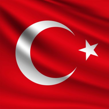 Türk bayrağı sallayarak, Türkiye
