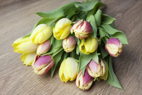 Schöne Tulpen Bild — Stockfoto