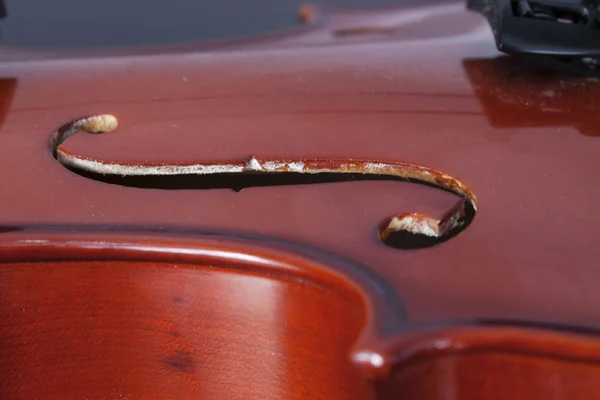 Geigen-Körperbild — Stockfoto