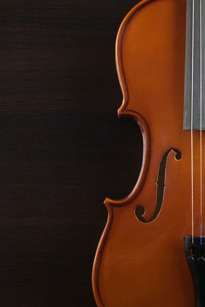 Alte und verstaubte Geige — Stockfoto