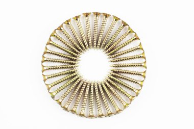 Ahşap daire içinde düzenlenmiş vidaları sabitleme