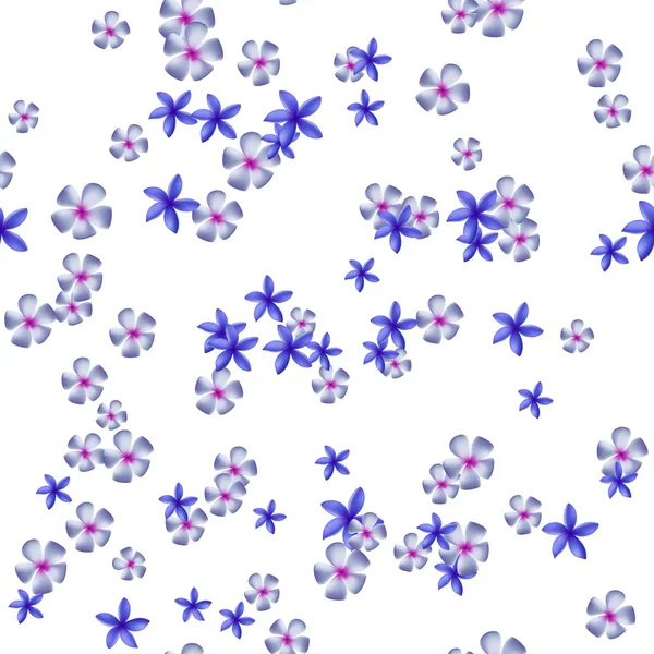 Flores azules plumeria sobre un fondo blanco — Vector de stock