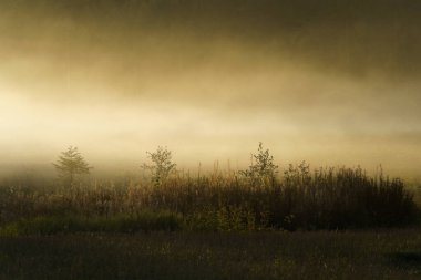 Sakin bir alan yumuşak akşam sisi ile kaplıdır..