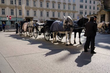 Viyana, Avusturya - 3 Ekim 2025 - At arabaları beklemede ve yolcu bekliyorlar.