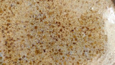 İçi rahat oturma odası. Kahverengi deri kanepe ve hafif ışıklandırma.