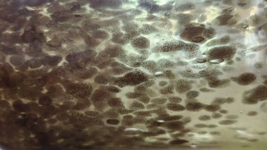 Koyu damlacıklarla soyut bulanık arkaplan.