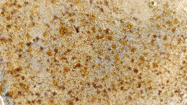 Temiz tasarım ve sakin atmosferi olan parlak çağdaş yaşam alanı