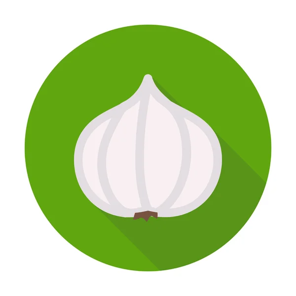 Garlic flat circle icon — Stock Vector