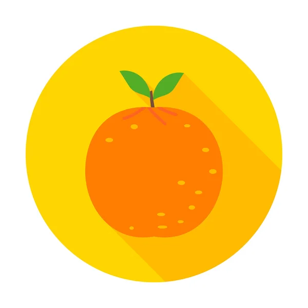 Orange flat circle icon — Stock Vector