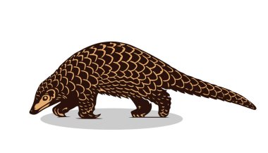 Pangolin yürüyen logo çizimi.