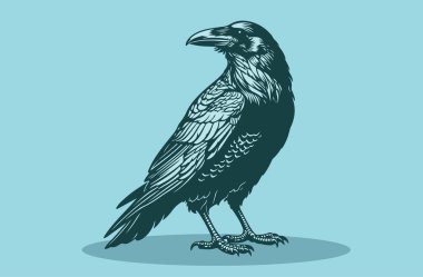 Mavi arka plandaki bir karganın güzel ve güzel bir çizimi