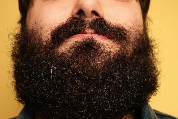 Close-up portrait of large bearded man on yellow background. — Stock Photo, Image