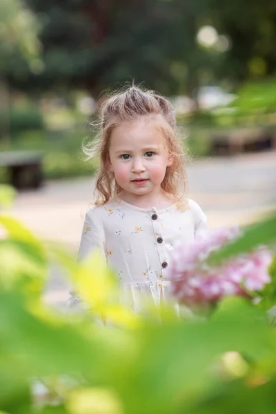 Retrato Uma Menina Bonita Bonito Anos Idade Primeiro Plano Arbusto — Fotografia de Stock